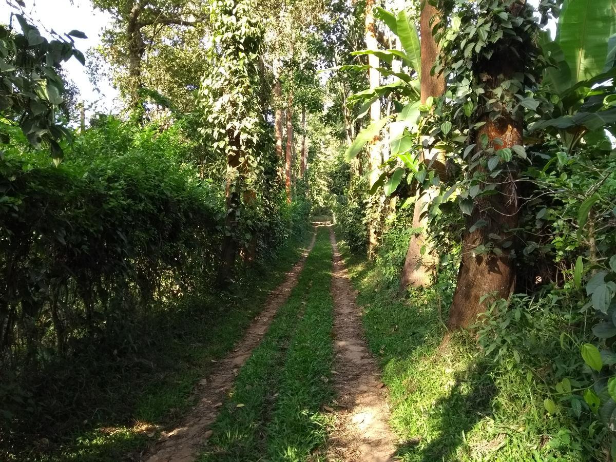 Coorg 4 C'S Little Paradise Madikeri Eksteriør bilde