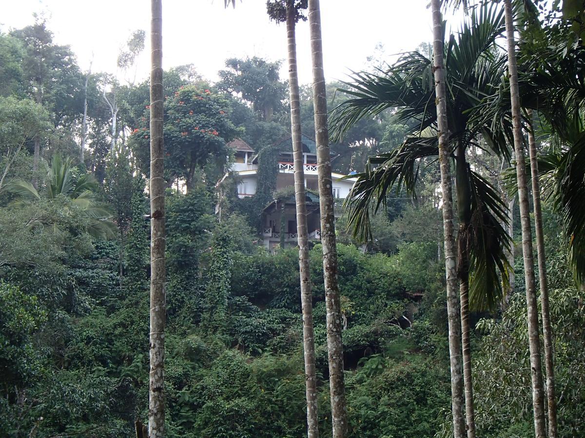 Coorg 4 C'S Little Paradise Madikeri Eksteriør bilde