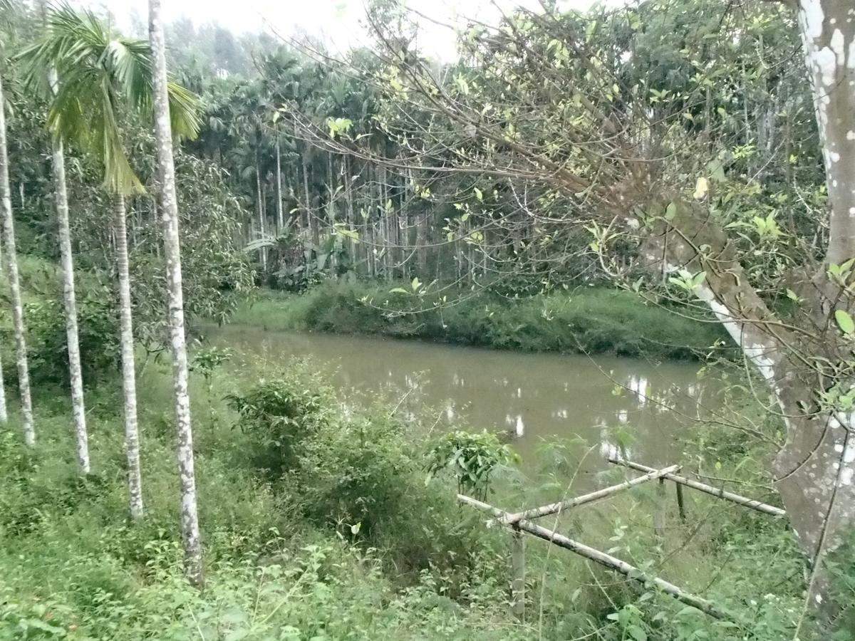 Coorg 4 C'S Little Paradise Madikeri Eksteriør bilde